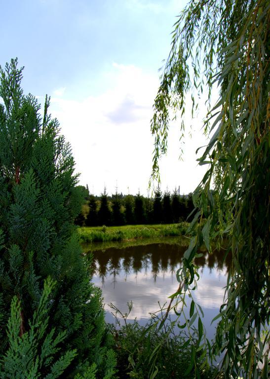 Hotel Marco Plonsk Szkolna 115 Bagian luar foto
